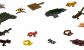 Tropical fauna