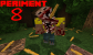 Experiment 8 BETA