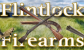 Flintlock Firearms