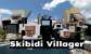Skibidi Villager