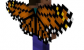 Elytra models