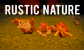 Rustic Nature