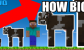 BIG MOBS small mobs