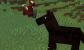 Jak oswoić konia, muła, osła w Minecraft w 1.21