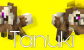 Tanuki
