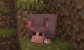 Autofazenda de placas do tatu: meu experimento louco no Minecraft!