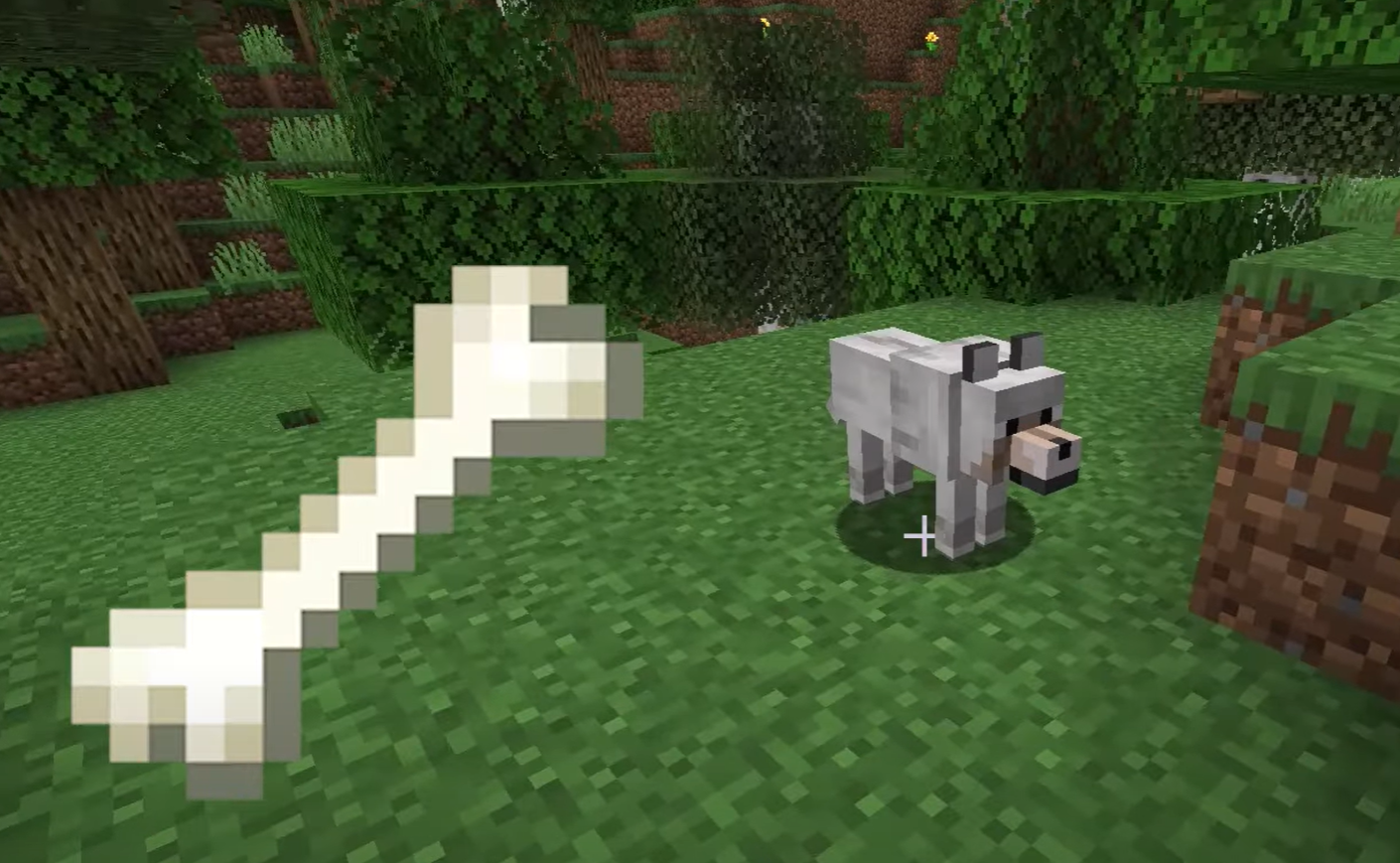 1.21 में Minecraft में भेड़ियों को कैसे वश में करें