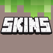 Minecraft में त्वचा कैसे स्थापित करें?