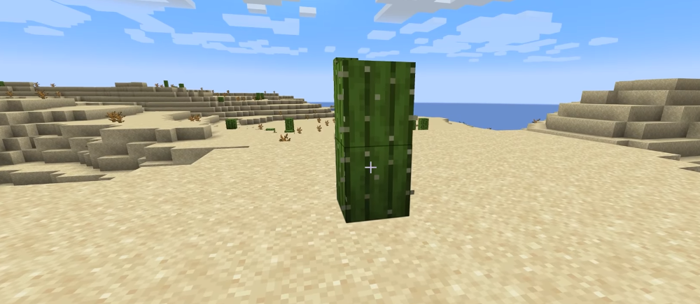 Shield vs. Cactus — Who wins? In Minecraft