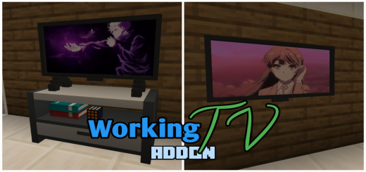 Televisión de trabajo