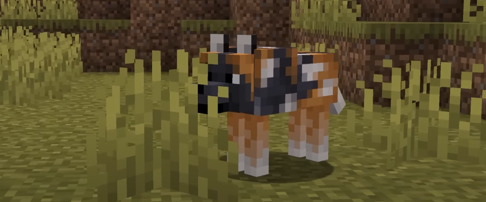 Mon guide pour apprivoiser le Loup Tacheté dans Minecraft