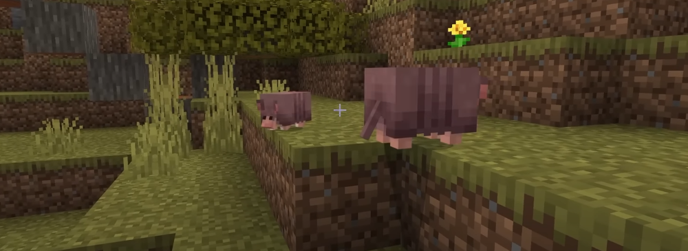 Tatou au microscope : que cache la boule cubique dans Minecraft