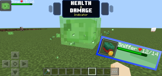 Indicador de Salud y Daños