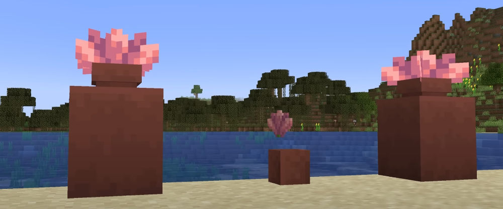 Fleur de Cactus : Décoration ou Défi ?