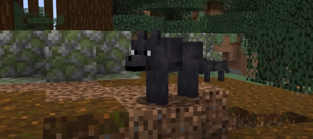 Comment j’ai pisté le Loup Noir dans Minecraft
