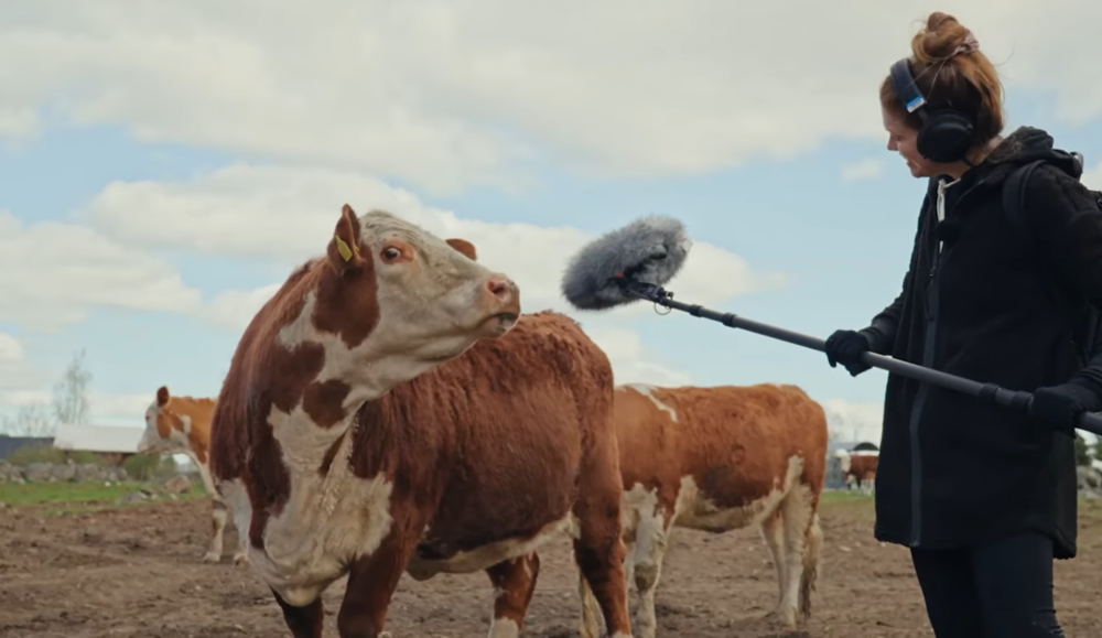 Actualización Tiny Takeover en Minecraft: Cómo las vacas se convirtieron en estrellas de doblaje