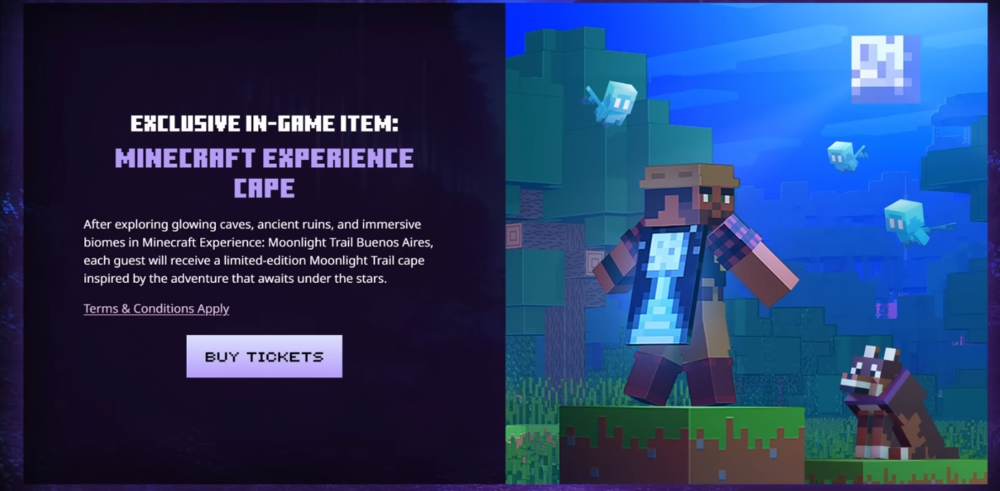 Новый плащ для фанатов Minecraft: за чем стоит лететь в Аргентину