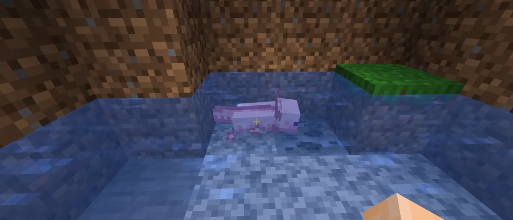 Axolote vs Totem: quem vence quem? No Minecraft