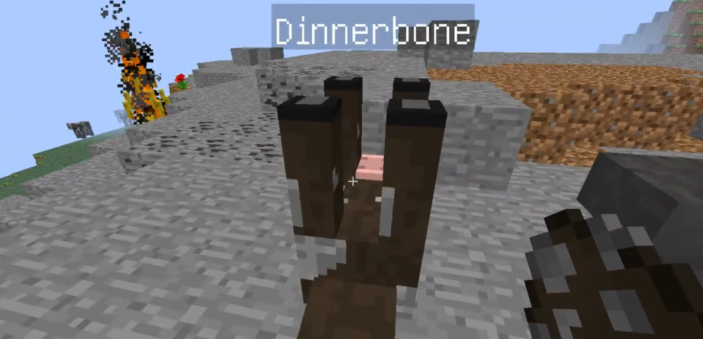 Tesori Nascosti di Minecraft: Un'Analisi Dettagliata degli Easter Egg degli Sviluppatori