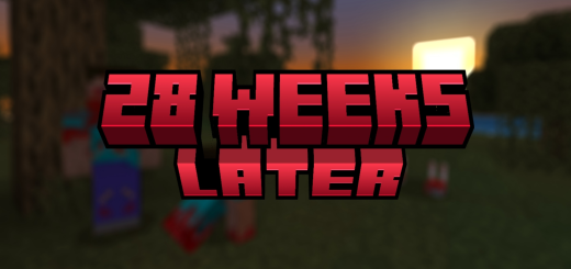 28 semanas depois