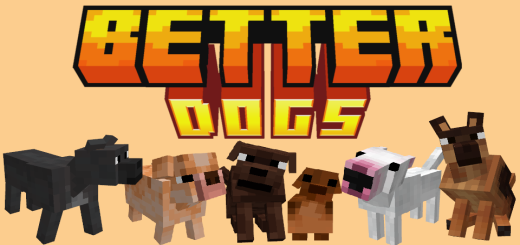 Diferentes raças de cães