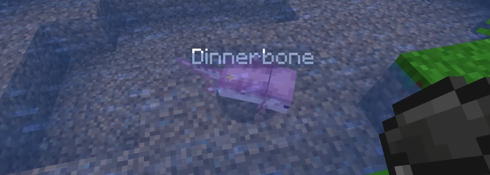 Upside-Down Wonders in Minecraft