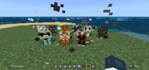 Revisão completa dos lobos