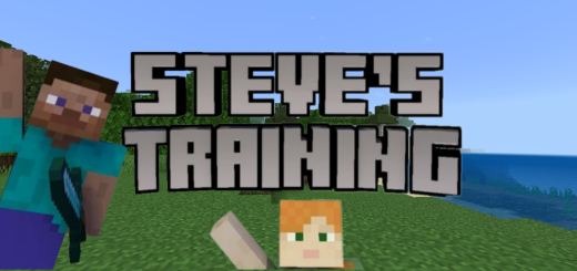 Treino de Steve