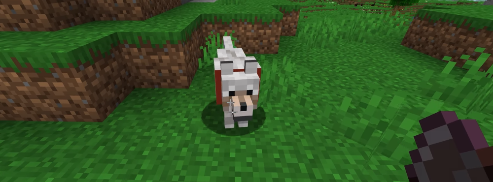 Minecraft에서 두 번째 기회, 토템