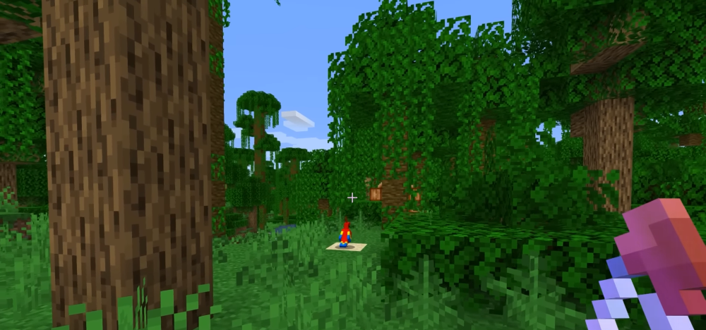 Vemos o pássaro invisível? No Minecraft