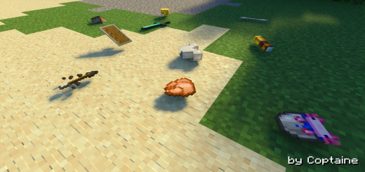 Nueva física de objetos