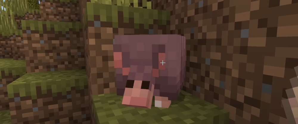 Autogranja de plaques d’armadillo : ma folle expérience sur Minecraft !