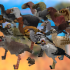 Prehistoric birds