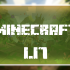 Minecraft 1.17