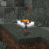 Fiori che ti osservano in Minecraft