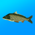 True Fishing (MOD - A lot of money)