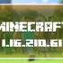 Minecraft PE 1.16.210.61 Beta