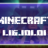 Minecraft  1.16.101.01