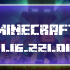 Minecraft 1.16.221.01