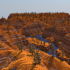 Golden Canyon