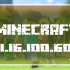 Minecraft PE 1.16.100.60 Beta