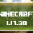 Minecraft PE 1.17.30