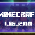Minecraft 1.16.220