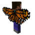 Elytra मॉडल।