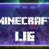 Minecraft PE 1.16