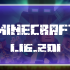 Minecraft 1.16.201