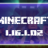 Minecraft 1.16.1.02