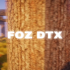 FOZ DTX