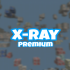 X-ray through blocks (X-Ray)