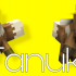 Tanuki